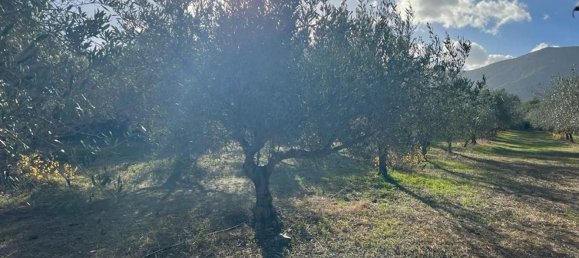 3 rooms House in Sardinia, Italy No. 247259 14