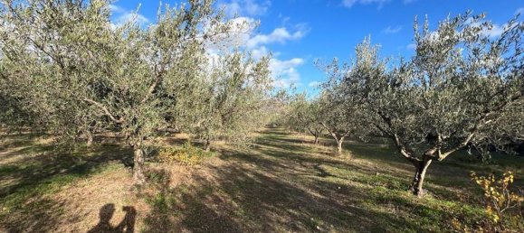 3 rooms House in Sardinia, Italy No. 247259 11