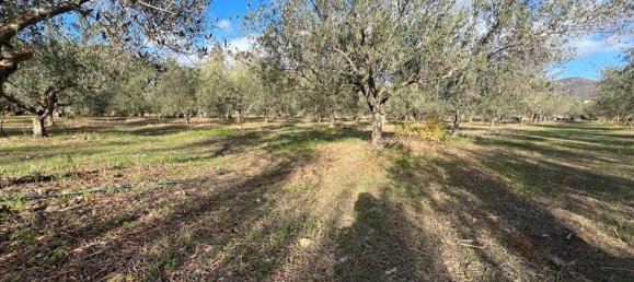 3 rooms House in Sardinia, Italy No. 247259 10