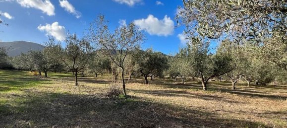 3 rooms House in Sardinia, Italy No. 247259 12