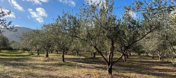 3 rooms House in Sardinia, Italy No. 247259 16