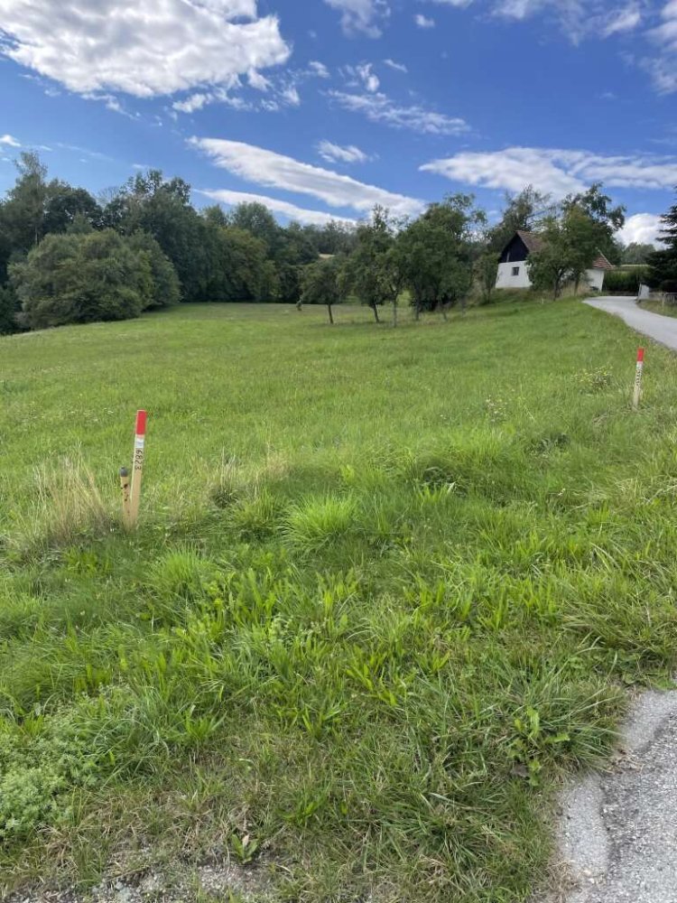  قطعة أرض في Pinkafeld, Austria رقم 41412