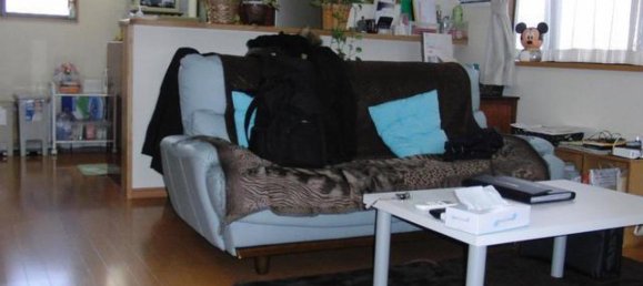 4 bedrooms House in Chiba, Japan No. 2268 2