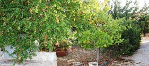 Коммерческая недвижимость с 7 спальнями в Ретимни, Греция № 7055 7