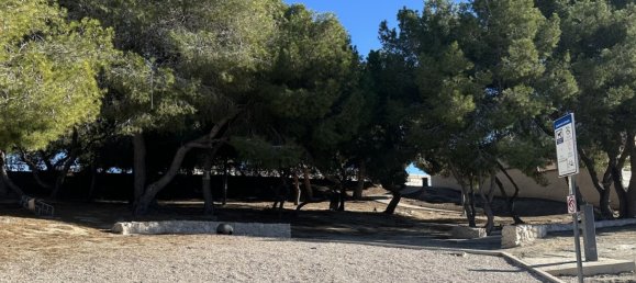 Terrain à Benijofar, Spain No. 144508 13