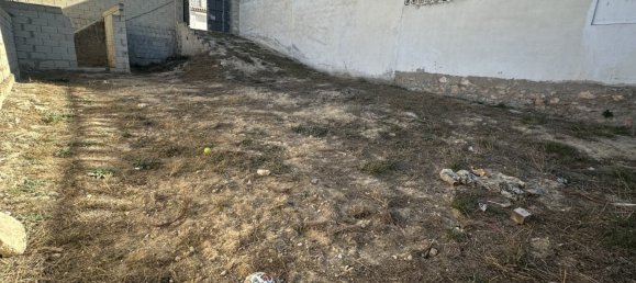 Terrain à Benijofar, Spain No. 144508 6