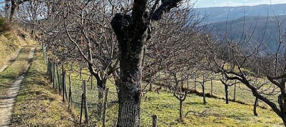 7 rooms House in Monterenzio, Italy No. 74073 19