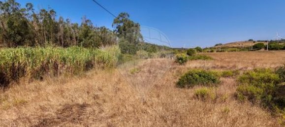 Grundstück in Barao de Sao Miguel, Portugal, Nr. 349042 7