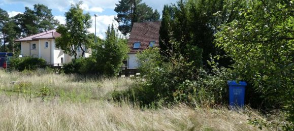  Land in Dahme-Spreewald, Germany No. 244981 3