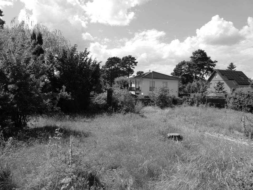  Land in Dahme-Spreewald, Germany No. 244981