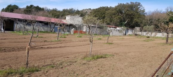 5000m² Land in Buddusò, Italy No. 256283 5