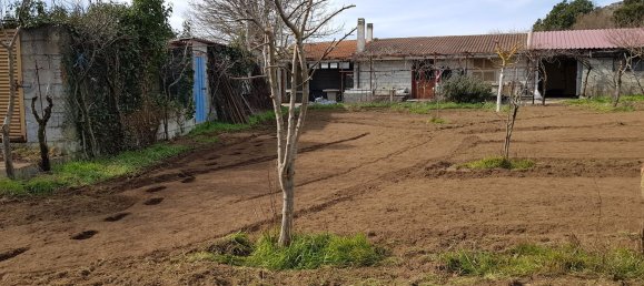 5000m² Land in Buddusò, Italy No. 256283 4