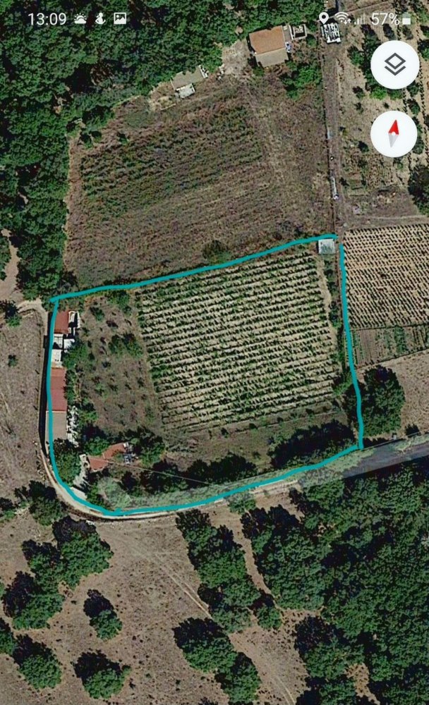 5000m² Land in Buddusò, Italy No. 256283