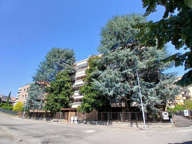 5غرفة بانتهاوس في Novara, Italy رقم 284748