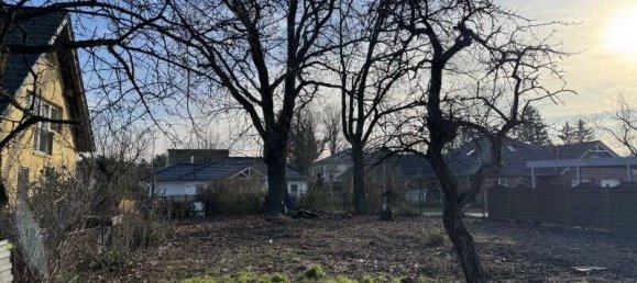  Land in Markisch-Oderland, Germany No. 23992 5