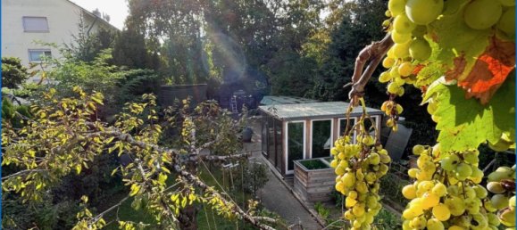 8-salle Propriété commerciale à Baden-Wurttemberg, Germany No. 52986 9