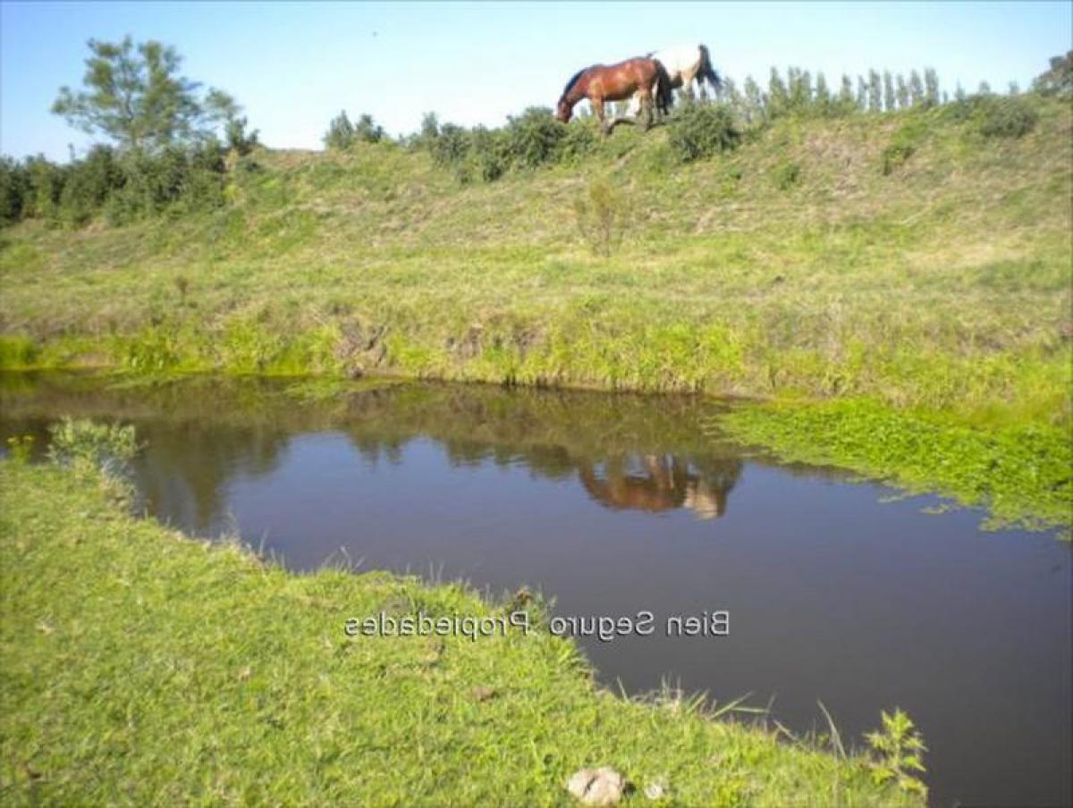 Дом с 3 спальнями в Канелонес, Уругвай № 914