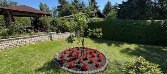 1 bedroom Bungalow in Ludwigslust-Parchim, Germany No. 338695 6