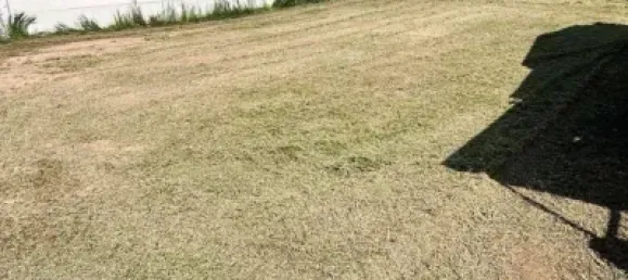 1 bedroom House in Castellon, Spain No. 32157 10