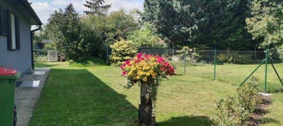 Бунгало с 9 комнатами в Штрасхоф ан дер Нордбан, Австрия № 241075 19