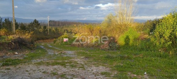 40000m² Land in Caxarias, Portugal No. 148837 22