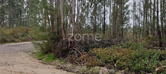 40000m² Land in Caxarias, Portugal No. 148837 11