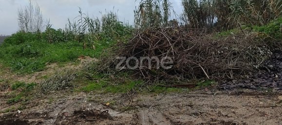 40000m² Land in Caxarias, Portugal No. 148837 12
