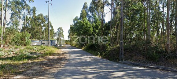 40000m² Land in Caxarias, Portugal No. 148837 5