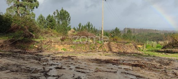 40000m² Land in Caxarias, Portugal No. 148837 7