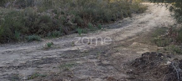 40000m² Land in Caxarias, Portugal No. 148837 18