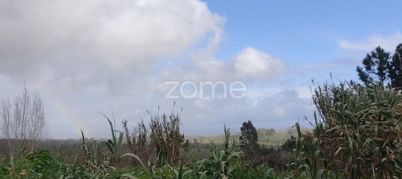 40000m² Land in Caxarias, Portugal No. 148837 13