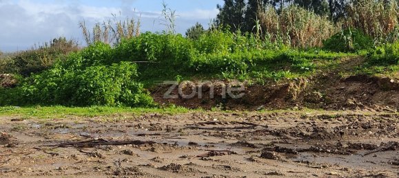 40000m² Land in Caxarias, Portugal No. 148837 6