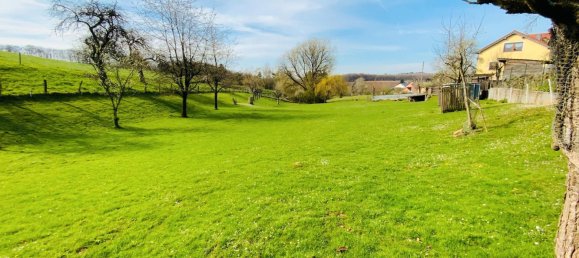 5 bedrooms House in Rhineland-Palatinate, Germany No. 198317 19