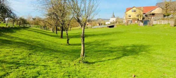 5 bedrooms House in Rhineland-Palatinate, Germany No. 198317 18