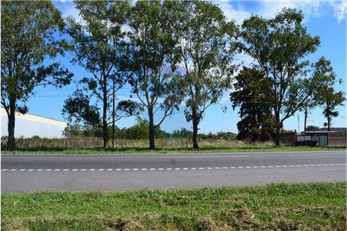  قطعة أرض في Canuelas, Argentina رقم 41637