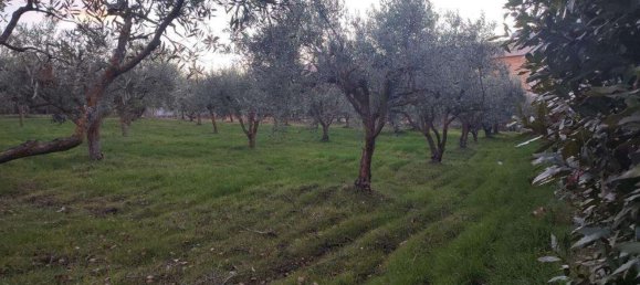 7غرفة فيلا في San Cataldo, Italy رقم 80367 24