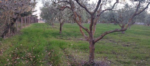 7غرفة فيلا في San Cataldo, Italy رقم 80367 25