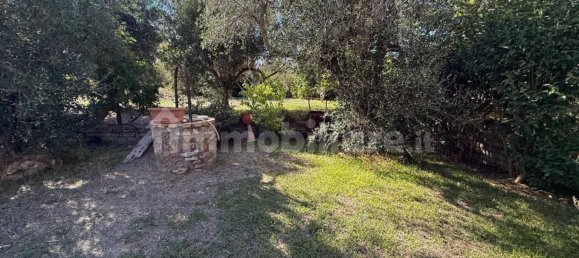 3 Schlafzimmer Villa in Civitavecchia, Italy, Nr. 317291 22