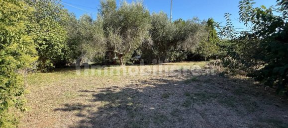 3 Schlafzimmer Villa in Civitavecchia, Italy, Nr. 317291 2