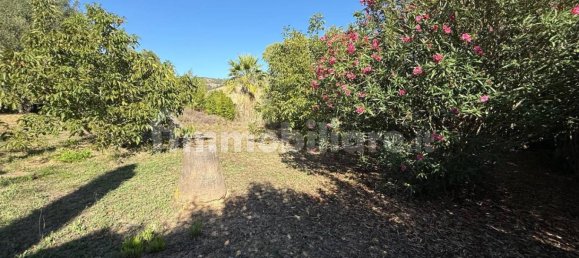 3 Schlafzimmer Villa in Civitavecchia, Italy, Nr. 317291 27