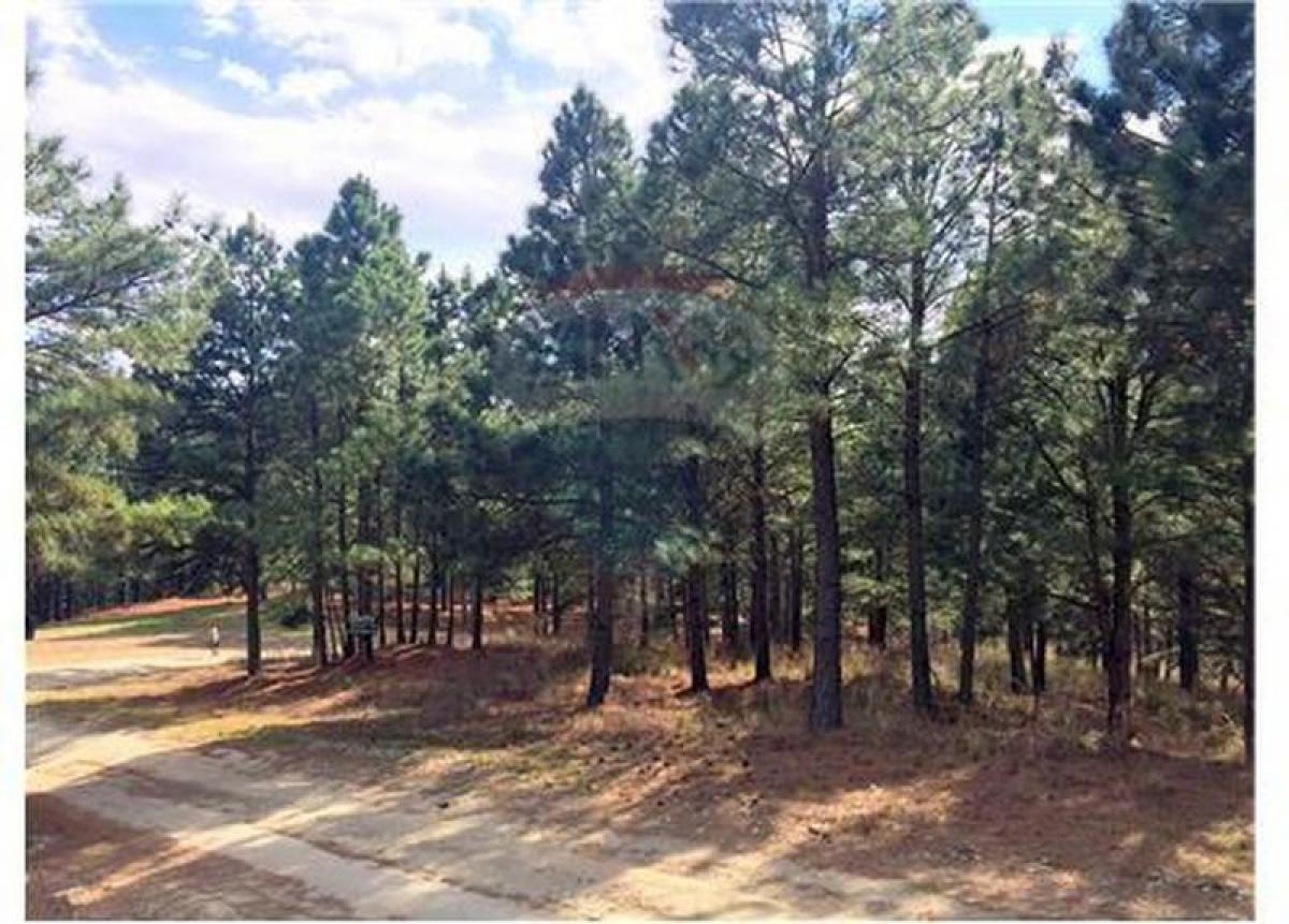  Land in Cordoba, Argentina No. 32714