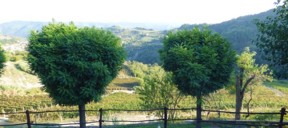 12 bedrooms Hotel in Serole, Italy No. 166918 23