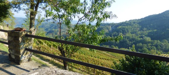 12 bedrooms Hotel in Serole, Italy No. 166918 7