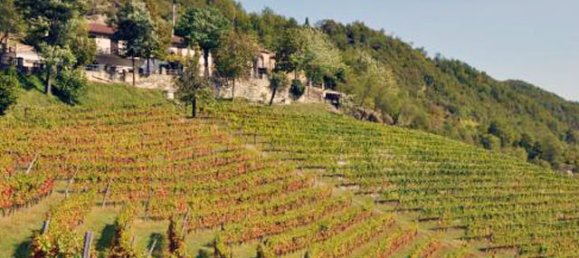 12 bedrooms Hotel in Serole, Italy No. 166918 8