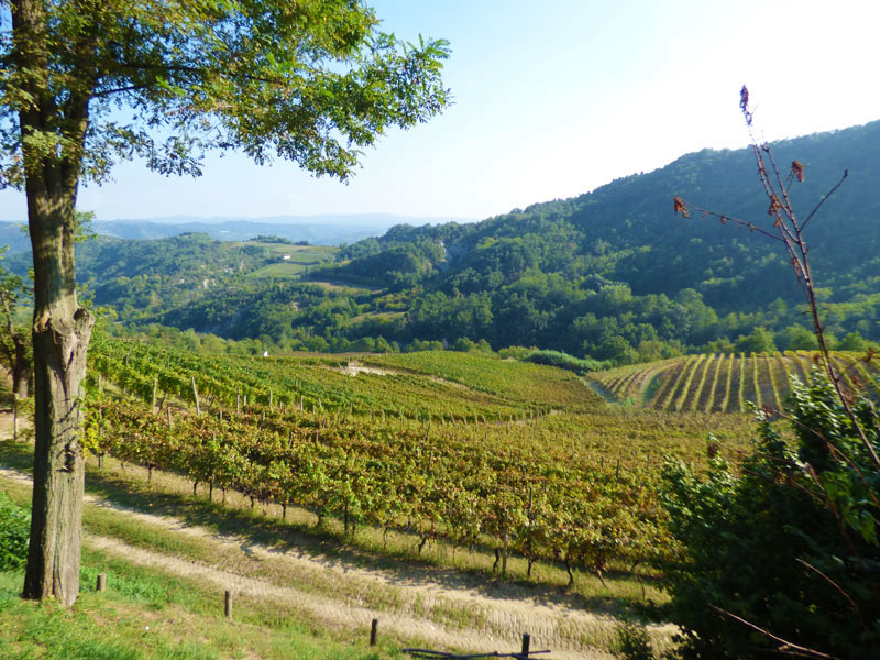 12 bedrooms Hotel in Serole, Italy No. 166918