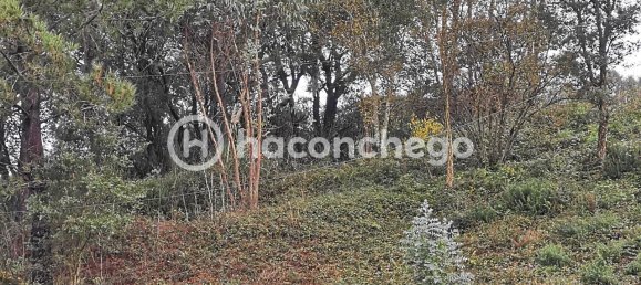  قطعة أرض في Barcelos, Portugal 640متر مربع رقم 36312 9