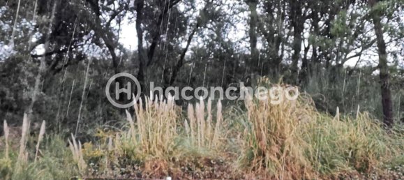  قطعة أرض في Barcelos, Portugal 640متر مربع رقم 36312 8