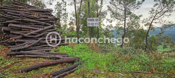  قطعة أرض في Barcelos, Portugal 640متر مربع رقم 36312 7