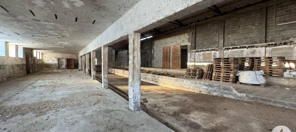 Lagerhaus in Horn, Austria, Nr. 107727 5