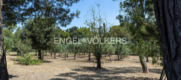 Villa de 6 dormitorios en Gallipoli, Italy No. 283295 12